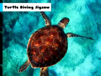 image Turtle Diving Jigsaw