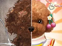 image Pet Makeup Master