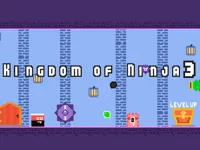 image Kingdom of Ninja 3