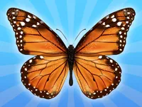 image MergeButerfly: 2048!