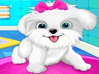 image Puppy: Pet Salon  amp; Dog Daycare