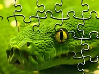 image Snakes Jigsaw Puzzle