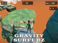 image Gravity Surfer