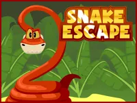 image Snake Escape