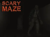 image Scary Maze 3D