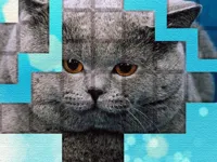 image PicPu - Cat Puzzle