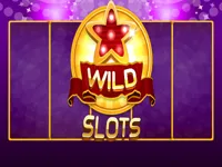 image Wild Slot