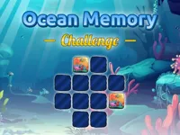 image Ocean Memory Challenge