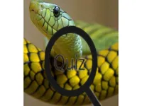 image Wildlife Animal Trivia:Test Your Knowledge!