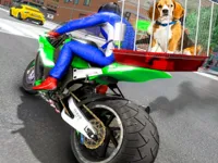 image Motorcycle Pet Delivery