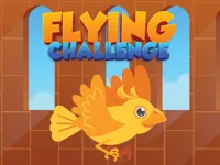 image Flying Challenge