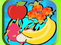 image Shadow game Drag and Drop