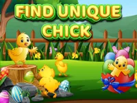 image Find Unique Chick