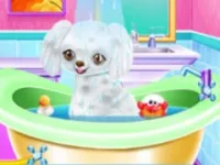 image My New Poodle Friend - Pet Care Game