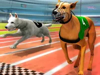 image Dogs3D Races