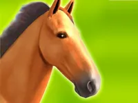 image Horse Run 3D