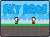 image Sky Bros