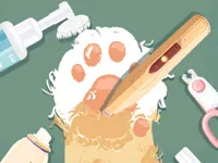 image Storage Master