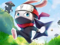 image Ninja Rabbit