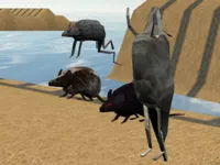 image Mouse Race Islands