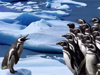 image Penguins Slide