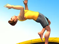 image Flip Trickster