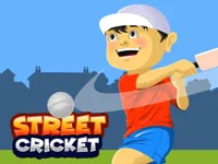 image Street Cricket