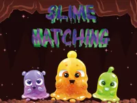 image Slime Matching