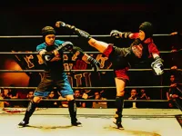 image Fighters in the Ring