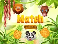 image Match Animals