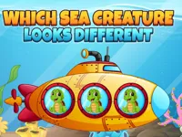 image Which Sea Creature Looks Different